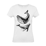 Dámske tričko veľryba skica